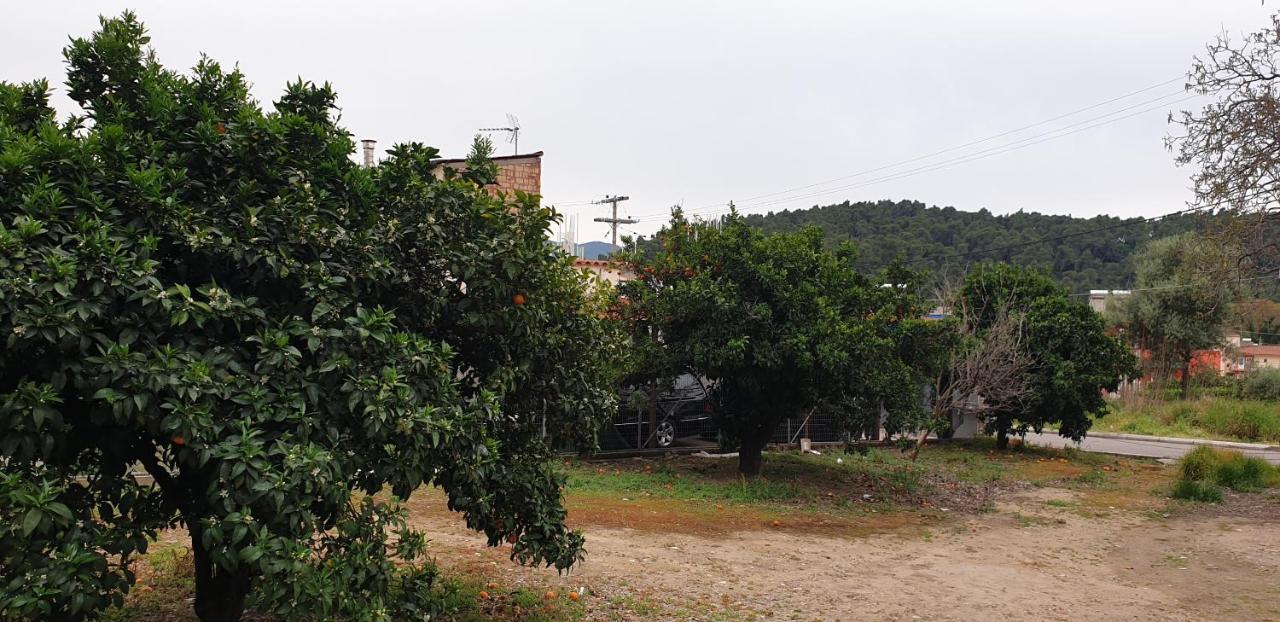 Walnut Home Apartment Near Ancient Olympia Krestena Luaran gambar